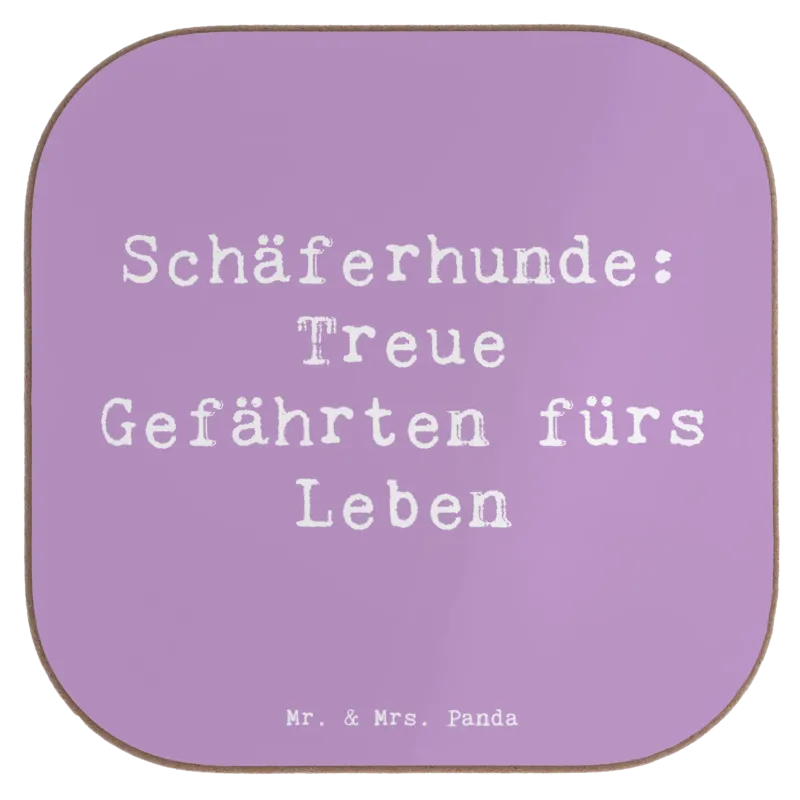 p:1780993|h:b8cbe33163a4fff1c57f32daf4222f9e